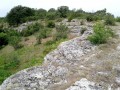 Pe marginea amfiteatrului Amfiteatru potcoava Casian