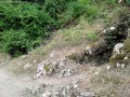 Pestera Liliecilor de la Gura Dobrogei Langa poteca Pestera Liliecilor Gura Dobrogei