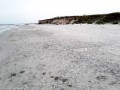 Plaja Cherhana La Plage - Corbu Plaja de sub faleza Corbu plaja Cherhana La Plage