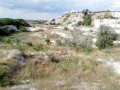 Lacul de creta - Murfatlar Vegetatia intrata din nou in drepturi Murfatlar lacul lac creta cariera