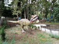 Jurasica Adventure Park - Neptun Zalmoxes Neptun parc aventura Jurasica adventure park