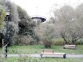 Parcul Verde Substejeris - Targu Mures Paduricea de sub belvedere Targu Mures Parcul Verde Substejeris