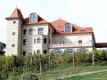 Crama Petry - Calimanesti Privire dinspre lac Calimanesti crama Petry conacul Simen