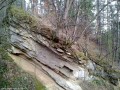 Cascada Berea - Apa Asau Copacul care creste pe stanca Apa Asau cascada Beri Berea