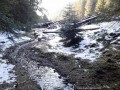 Apa minerala de la Rompatel - Nadejdea Teritoriul ursilor Nadejdea izvor apa minerala Rompatel