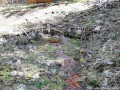 Fost bazin cu apa minerala Fost bazin cu apa minerala