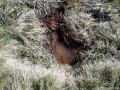 Apa minerala de la Rompatel - Nadejdea Izvorul de apa minerala Rompatel Nadejdea izvor apa minerala Rompatel