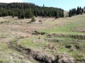 Apa minerala de la Rompatel - Nadejdea Stana de langa izvor Nadejdea izvor apa minerala Rompatel