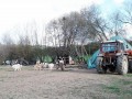 Poteca Rompatel - Nadejdea Cincisprezece caini ciobanesti Nadejdea poteca parau Rompatel