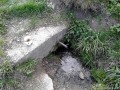 Izvorul de langa pod Izvorul de langa pod