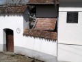 Teiul pucios din gradina bisericii - Martinis Tablita comemorativa a compozitorului Zoltan Aladar Martinis tei pucios biserica unitariana
