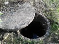 Stejarisul de langa Trecatoarea Ulies - Iasu Inel din beton Iasu Ighiu padure stejaris Trecatoare Ulies