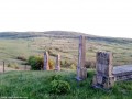 In fundal Spatele Stejarului In fundal Spatele Stejarului