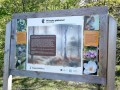 Pasunea cu stejari seculari - Mercheasa Priveste padurea Mercheasa pasune stejari seculari