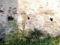 Biserica fortificata - Viscri Gauri in zid Viscri biserica evangelica fortificata cetate taraneasca