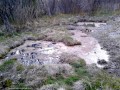 Izvorul de apa minerala Dobreanu - Bilbor Mlastina cu apa minerala Bilbor izvor apa minerala Dobreanu
