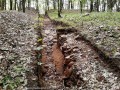 Cercetari arheologice Cercetari arheologice