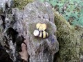 Albina Albina