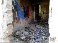 Cladiri abandonate - Targu Mures Graffiti si gunoi Ferma vulpi Targu Mures