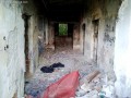 Fosta ferma de vulpi - Targu Mures Coridor Ferma vulpi Targu Mures