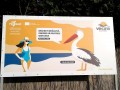Plaja salbatica Corbu Sud - Corbu Pelican cret Corbu sud plaja salbatica