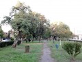 Parcul Republicii