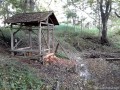 In albia paraului
