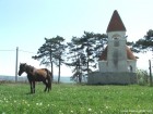 Calul si monumentul