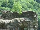 Turnul Spart Boita Viata pe ruine Boita Turnul Spart