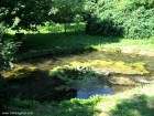 Arboretumul din Simeria Laculet arboretumul Simeria parc dendrologic