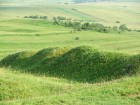 Tumuli Delnita cariera