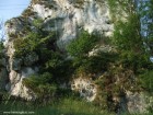 Calcarele de la Valea Mica Calcarele de la Valea Mica 4 Calcar Valea Mica