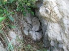 Dupa pietre Piatra Bulbuci