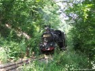 Izvorul Ozsvath Locomotiva izvor Ozsvath