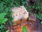 Izvorul din santul Komlos - Baile Tusnad Izvor Baile Tusnad izvor apa minerala santul Komlos Komlosaroki