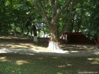 Parcul castelului 3 Parcul castelului 3