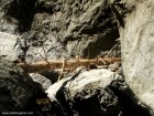 Canionul Valea lui Stan Punct rosu canionul Valea lui Stan canyon