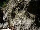 Canionul Valea lui Stan Trepte in peretele stancii canionul Valea lui Stan canyon