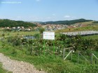 Lacul Universitatii Sapientia Campul didactic-experimental dendro-floricol Sapientia lac universitate Targu Mures