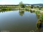 Lacul Universitatii Sapientia Lacul Sapientia lac universitate Targu Mures