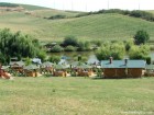 Pestisorul de Aur - Sancraiu de Mures Lac de pescuit 1 Pestisorul Aur Sancraiu Mures