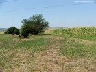 Atat a ramas din gradina Parcul Knopfler Cristesti