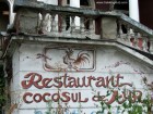 Cocosul de Aur - Targu Mures Desen si inscriptie Cocosul Aur palatul Burger Targu Mures