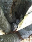 Cetatea Neagra Cauta sub pietre geocutia Cetatea Neagra Codlea