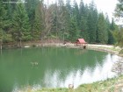 Lac pentru pescuit