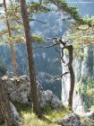Piatra Surducului - Muntii Hasmas De pe Piatra Surducului Piatra Surducului