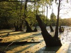 Apus de soare 2 Lacul cu arini Campu Cetatii