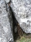 Avenul Licas Crapatura ascunzis Avenul Licas