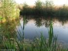 Lacul Rac Porumbenii Mari lacul Crab Rac