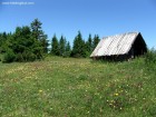 Muntele Paganul Muntele Paganul 1 Muntele Paganul